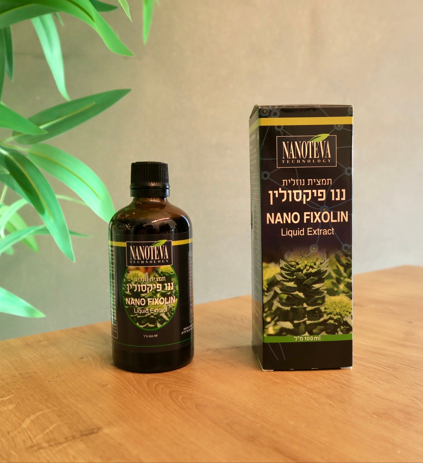 ננו פיקסולין